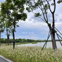 **中山翠亨國家濕地公園 | 欣欣向榮😍🌿💦 