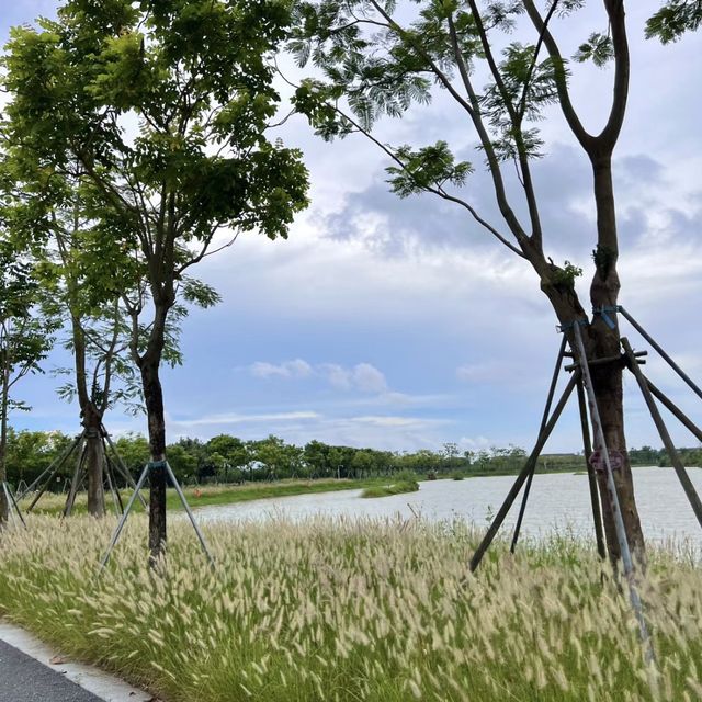 **中山翠亨國家濕地公園 | 欣欣向榮😍🌿💦 