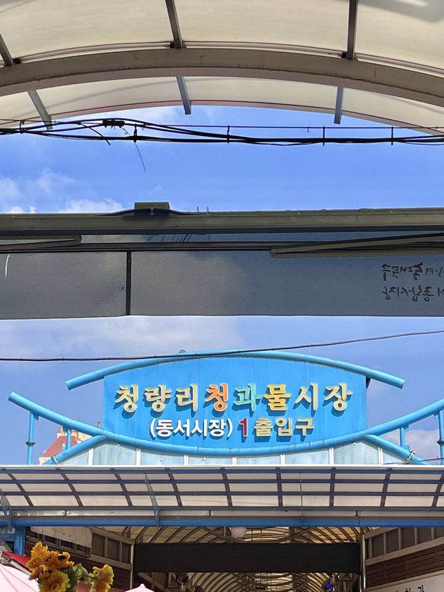 한국시장의 정수를 맛보고 싶다면 경동시장으로!
