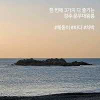 세계 유일한 바다왕릉에서 즐기는 세트코스