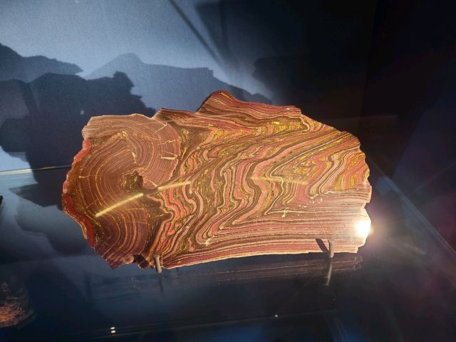 科學館古生物恐龍展