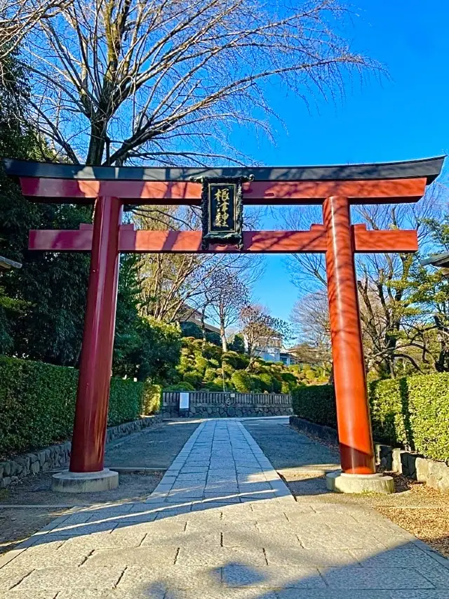 【東京都/根津神社】千本鳥居で人気の神社