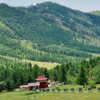 Terelj National Park:Beauty. Nature. Freedom