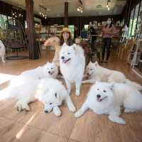 Meesook Farm...มีสุขฟาร์ม ระยอง