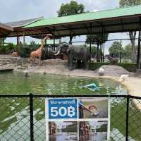 Sriayuthaya Lion Park - ศรีอยุธยา ไลอ้อน ปาร์ค 