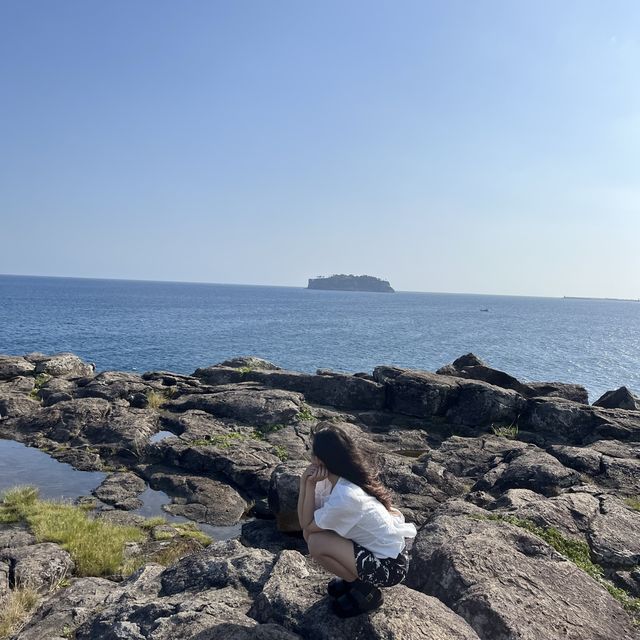 제주 뚜벅이만 4번한 파워 J가알려주는 제주도 3박 4일 일정️✈️