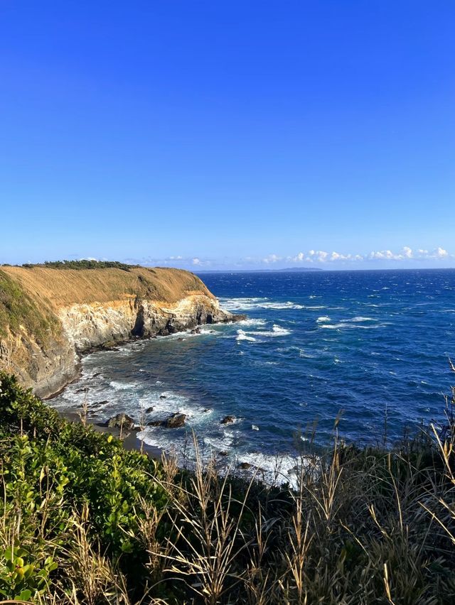 自然が織りなす絶景✨城ヶ島