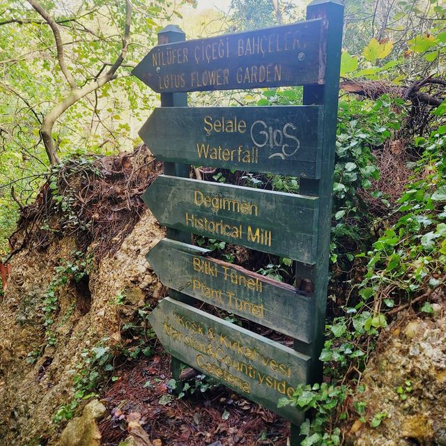 Hidden Gem Kurşunlu Waterfall 