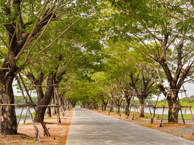 คาเฟ่ที่มีน้ำตก สวยอลังการมากก~ ที่ฉะเชิงเทรา
