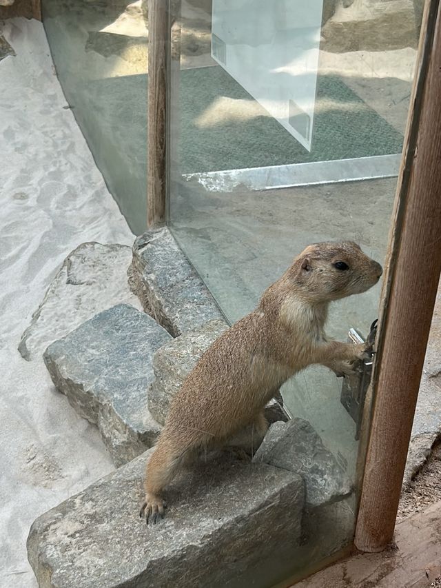 🐠다양한 생물들을 한 곳에서! 서천 국립생태원 🦜