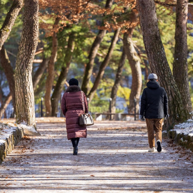 Sosuseowon Confucian Academy in Winter 