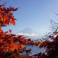 東京自由行｜一定要來河口湖富士山🗻