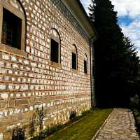 NATIONAL SYMBOL OF BULGARIA!!
