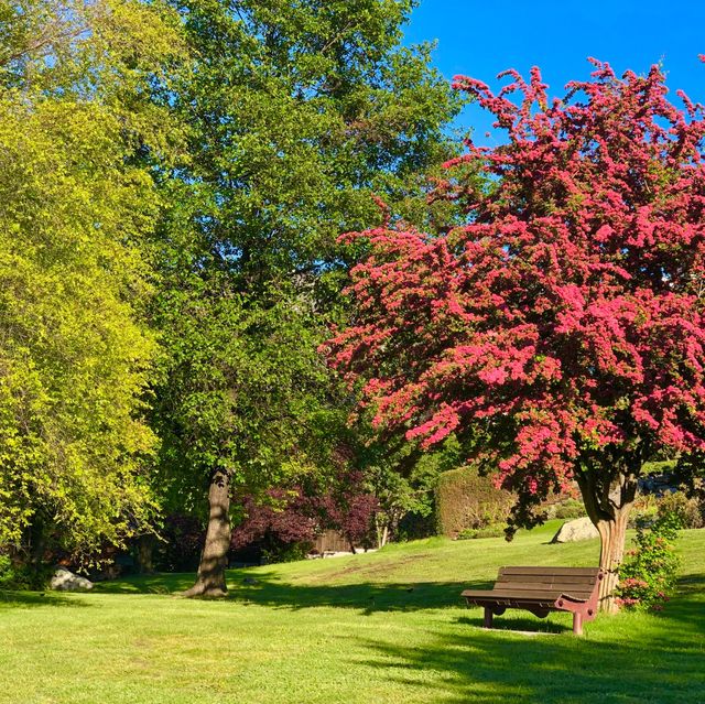 Jubilee Jewel: Nature's Palette.