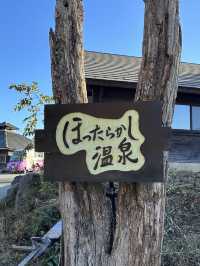 Outdoor Onsen with mt Fuji View