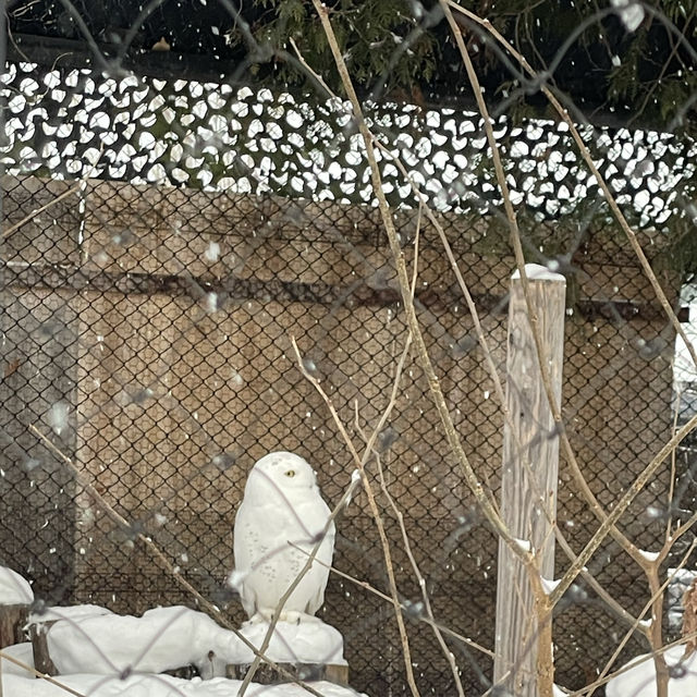 Asashiyama Zoo