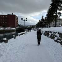 Amazing day trip OTARU CANAL