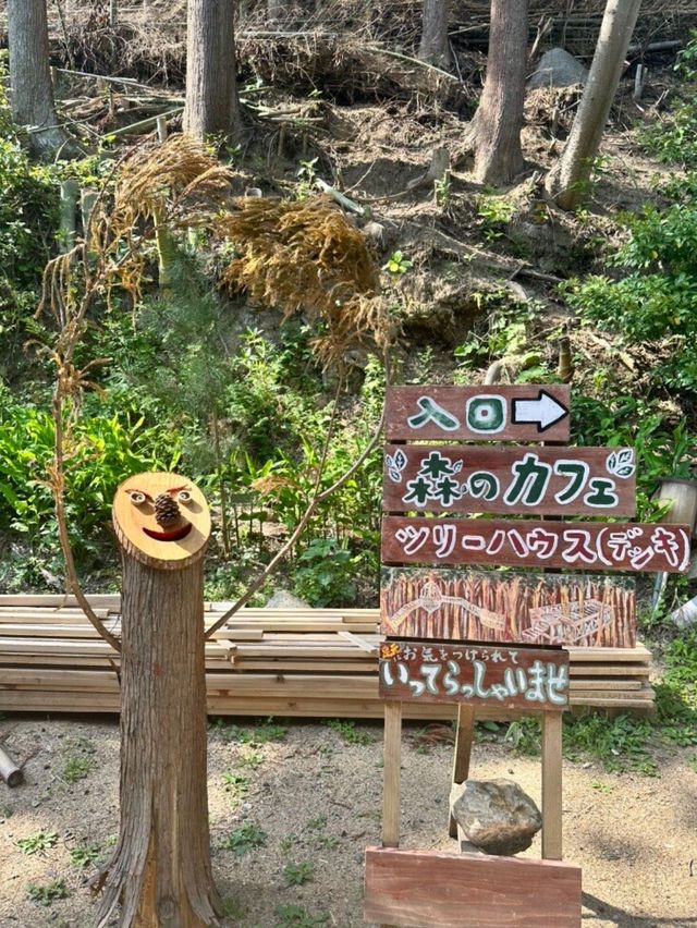 【福岡カフェ】森の中のツリーハウスで森林浴を楽しめるカフェ