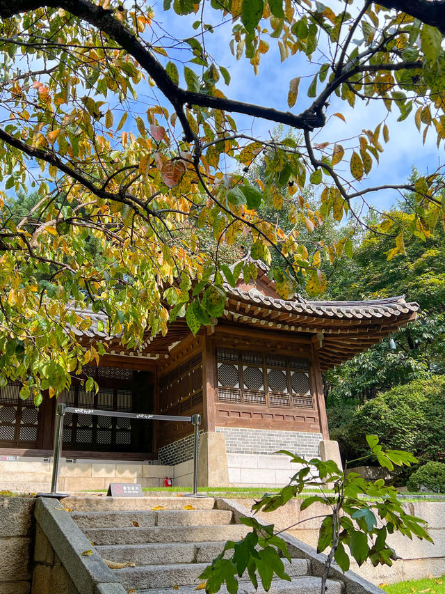 대통령이 살았던 공간인 청와대 관저