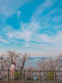 【香川】世界の訪れるべき52ヶ所にも選ばれた！四国を代表する絶景桜スポット！