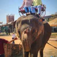 Elephant World