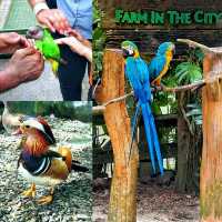 Marvelous Petting Zoo in the city!