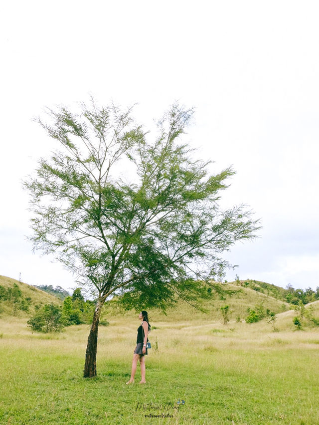 เดินเล่นชิวๆที่ ภูเขาหญ้า จังหวัดระนอง
