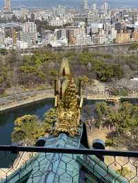 天守閣からの眺めはまるで天下人になった気分