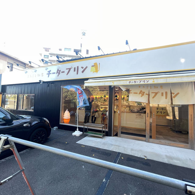 愛知旅行のお土産はこれ！