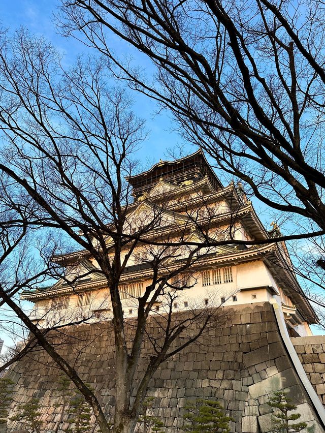 大阪必到🇯🇵大阪城🏯