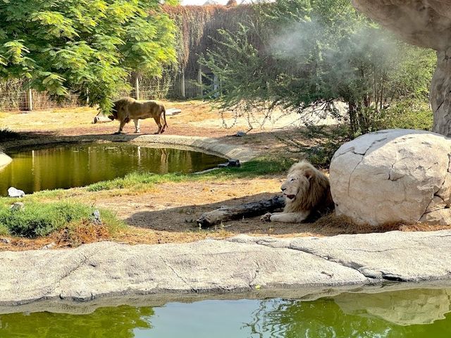 Dubai Safari Park
