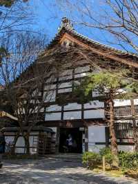 龍安寺の境内の鏡容池(おしどり池)の、水分石(みくまり石)の上には、２羽の鳥が仲良く並んでいた