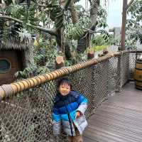 【 迪士尼泰山樹屋4個必訪景點 】