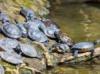 Prospect Park Zoo