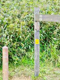 宜蘭後花園「抹茶山」莫蘭迪翠綠