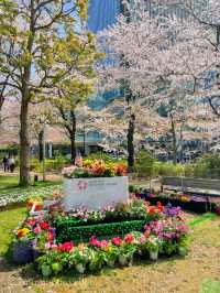都会的な風景と桜のコラボが美しい、東京ミッドタウンと六本木ヒルズ