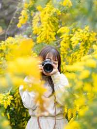 【東京都近郊】3月に行きたいお花かわかわいスポットまとめ