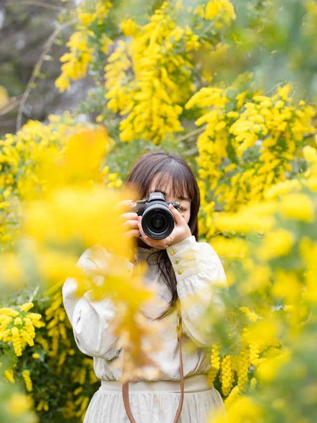 【東京都近郊】3月に行きたいお花かわかわいスポットまとめ