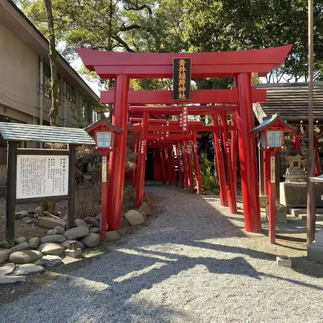 美しい赤色の鳥居に続くお稲荷様