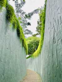 Fort Canning Tree Tunnel