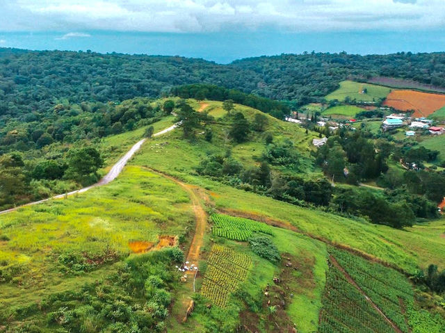Rong Kla Panorama Scenic View