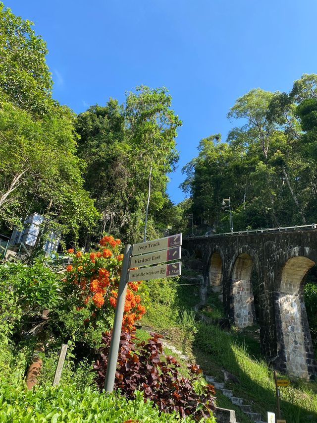 Hiking to the Peak of Penang Hill 🇲🇾