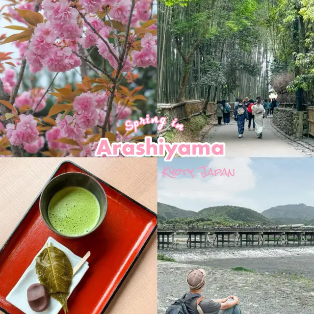 Spring in Arashiyama 1-day trip🌸🎋