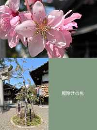 【行田八幡神社／埼玉県】花手水で溢れる境内