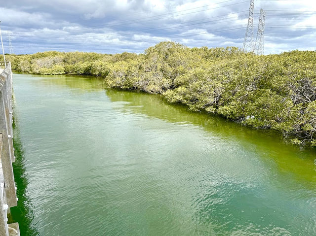 Adelaide Dolphin Sanctuary