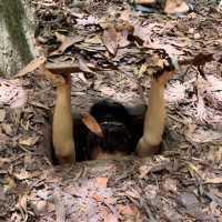 🌿🔍 Unveiling the Underground Wonders: Exploring the Cu Chi Tunnels