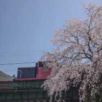 🇯🇵 Arashiyama | Immerse yourself in the beauty Japan 💞