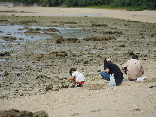 【沖繩】知念岬公園：無際太平洋景觀，適合春天旅遊
