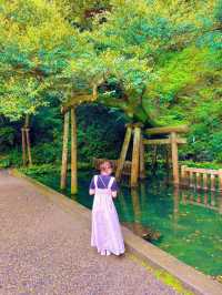 【茨城】神秘的な神社⛩最強パワースポット✨