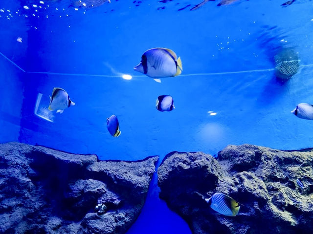 Samut Sakhon Aquarium